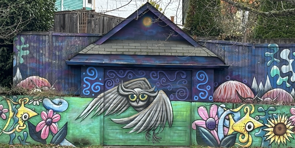 Owl on Fence